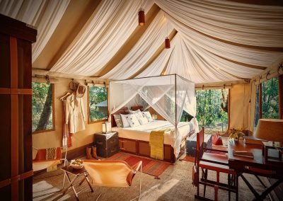 The Untamed Bandhavgarh