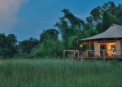 The Untamed Bandhavgarh